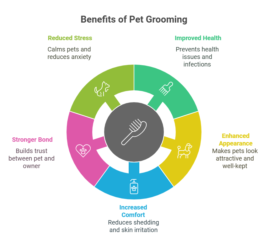 Recommended Pet Grooming Services in Malaysia | Benefits of Pet Grooming | Pet Universe Starlux