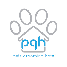 Recommended Pet Grooming Services in Malaysia | PGH | Pet Universe Starlux