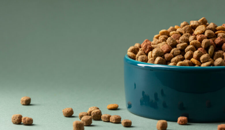 15 Recommended Cat Food in Malaysia