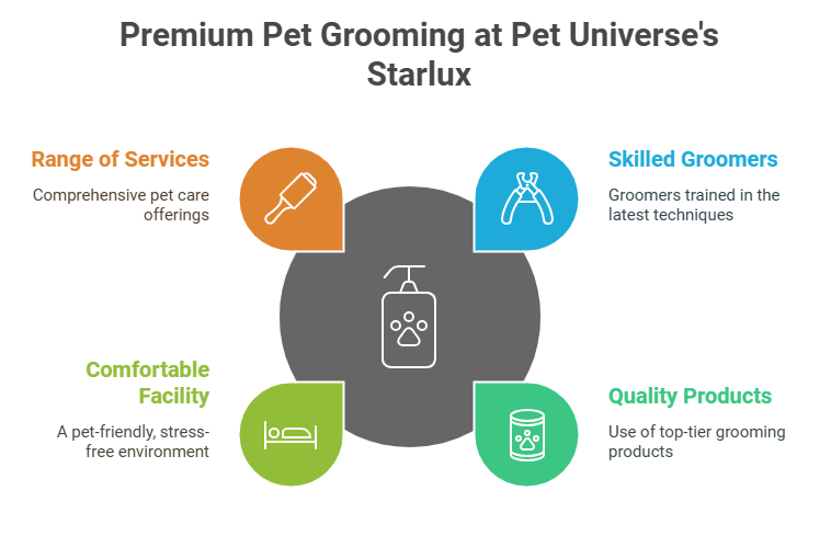 Recommended Pet Grooming Services in Malaysia | Premium Pet Grooming at Starlux | Pet Universe Starlux